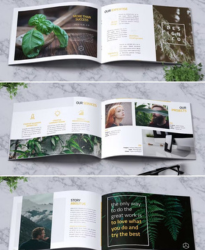 Brochure Design